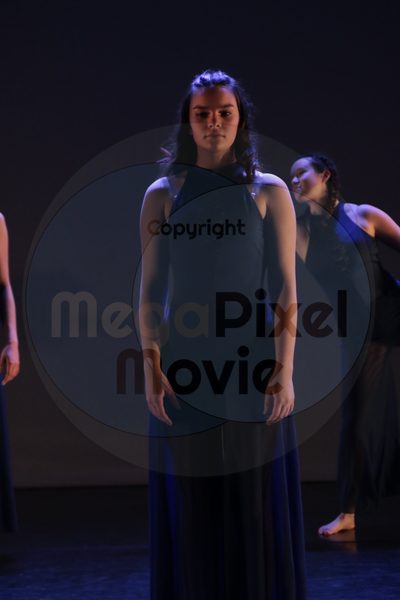 Dorothy Stringer Show - Image 8581
