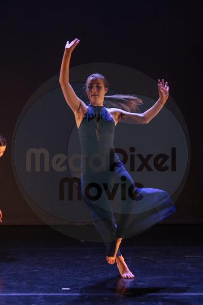 Dorothy Stringer Show - Image 8599