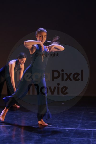Dorothy Stringer Show - Image 8602
