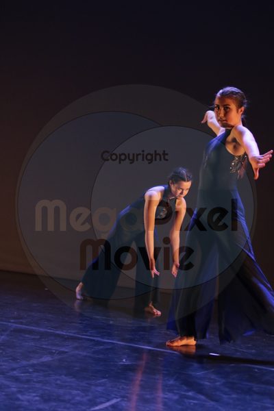 Dorothy Stringer Show - Image 8614