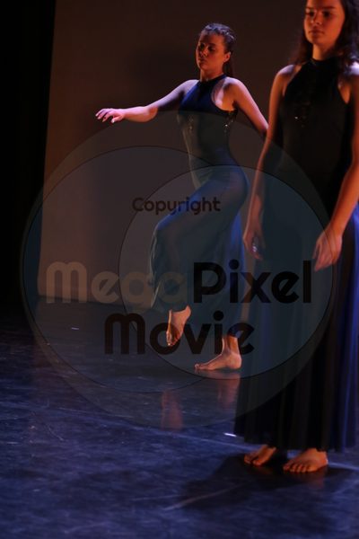 Dorothy Stringer Show - Image 8618
