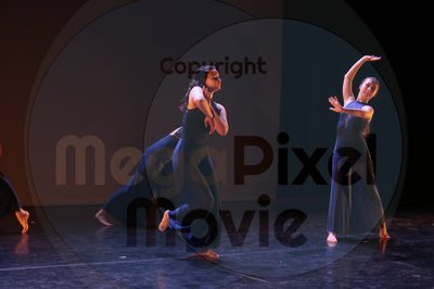 Dorothy Stringer Show - Image 8624