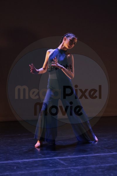 Dorothy Stringer Show - Image 8645