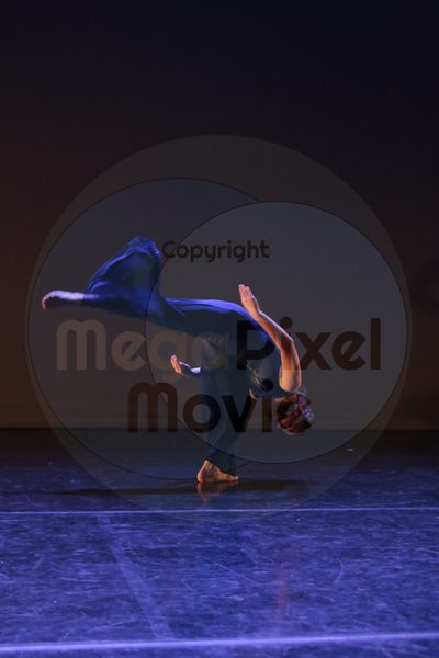Dorothy Stringer Show - Image 8675