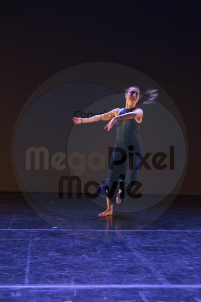 Dorothy Stringer Show - Image 8678