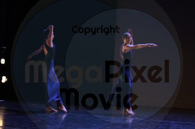 Dorothy Stringer Show - Image 8747