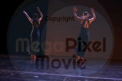 Dorothy Stringer Show - Image 8756