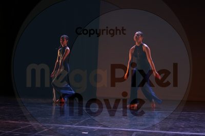 Dorothy Stringer Show - Image 8758