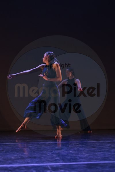 Dorothy Stringer Show - Image 8775