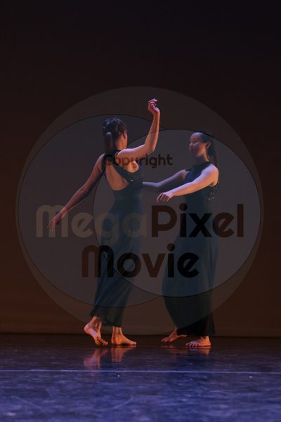Dorothy Stringer Show - Image 8789