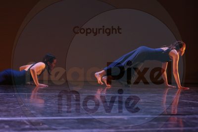 Dorothy Stringer Show - Image 8796