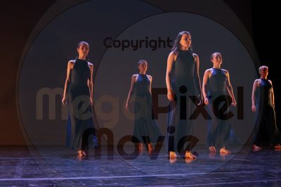 Dorothy Stringer Show - Image 8801