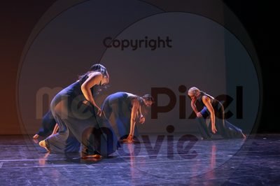 Dorothy Stringer Show - Image 8821