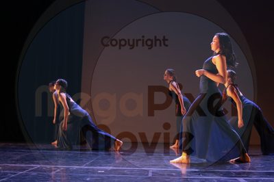 Dorothy Stringer Show - Image 8831