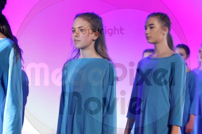 Dorothy Stringer Show - Image 8856