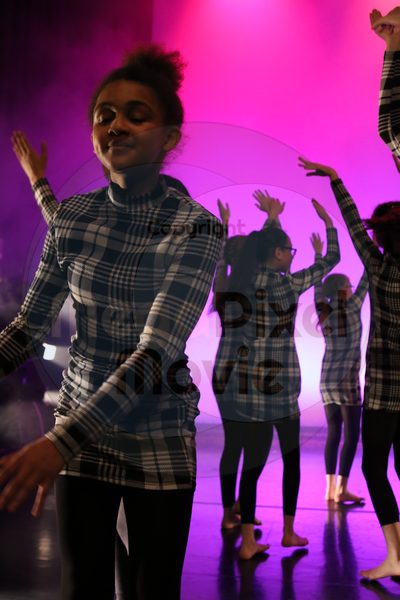 Dorothy Stringer Show - Image 0263