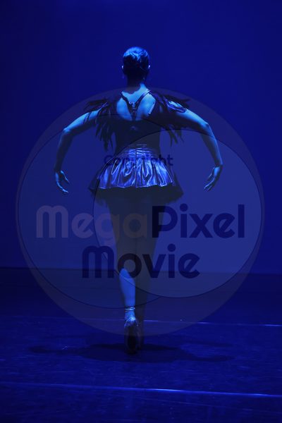 Dorothy Stringer Show - Image 696A0699