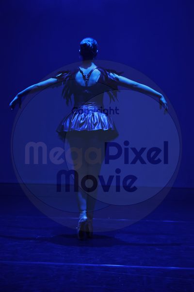 Dorothy Stringer Show - Image 696A0701