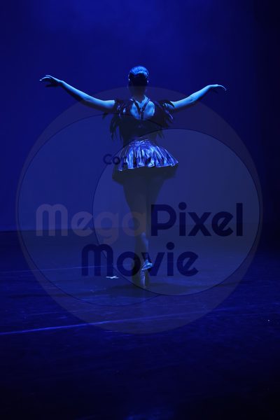 Dorothy Stringer Show - Image 696A0719