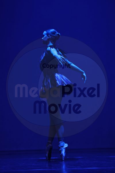Dorothy Stringer Show - Image 696A0750