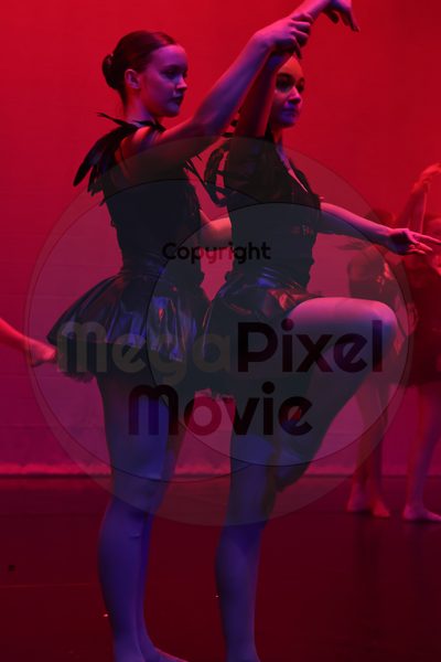 Dorothy Stringer Show - Image 696A1492
