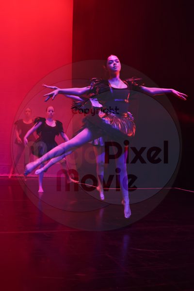 Dorothy Stringer Show - Image 696A1716