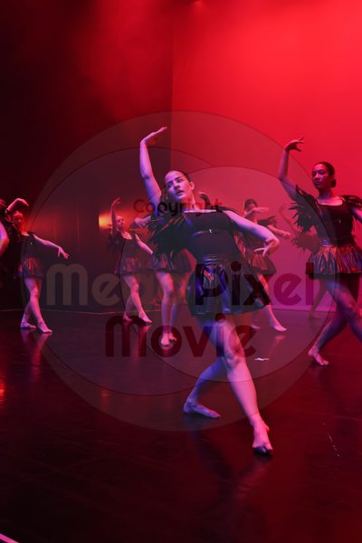 Dorothy Stringer Show - Image 696A1745