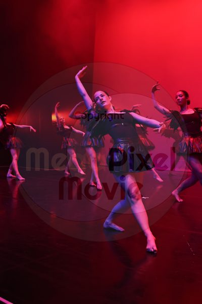 Dorothy Stringer Show - Image 696A1746