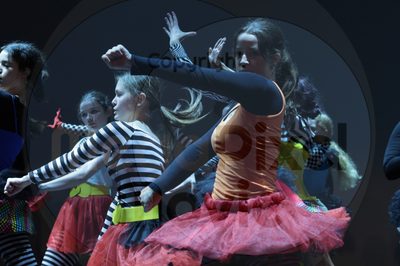 Dorothy Stringer Show - Image 1_696A6623