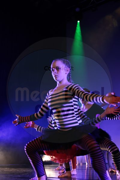 Dorothy Stringer Show - Image 696A8496-2