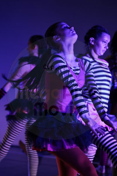 Dorothy Stringer Show - Image 696A8556-2