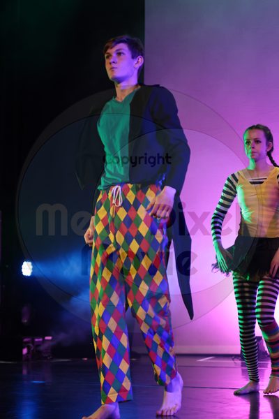 Dorothy Stringer Show - Image 696A8985-2