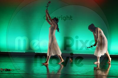 Dorothy Stringer Show - Image 8905