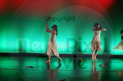 Dorothy Stringer Show - Image 8908