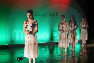 Dorothy Stringer Show - Image 8910