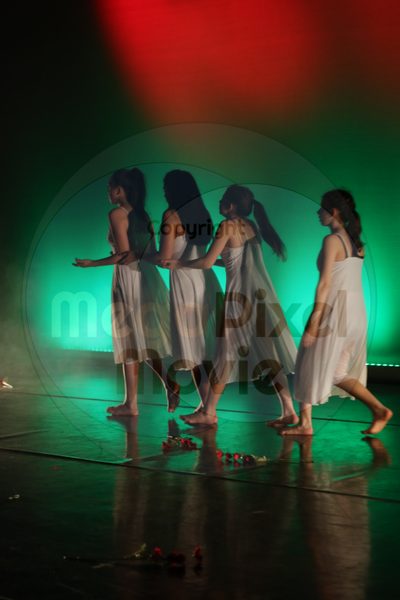 Dorothy Stringer Show - Image 8967