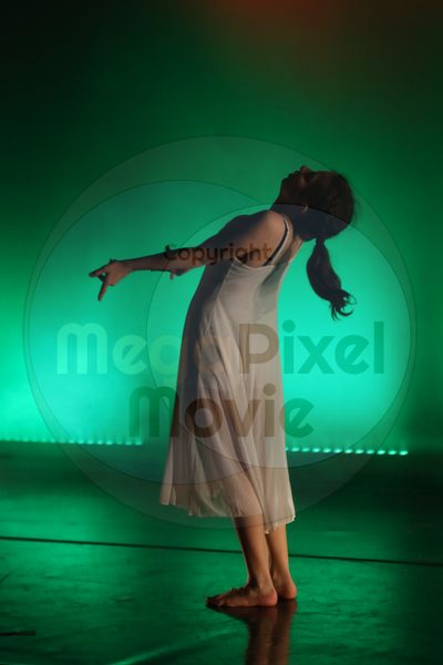 Dorothy Stringer Show - Image 9003