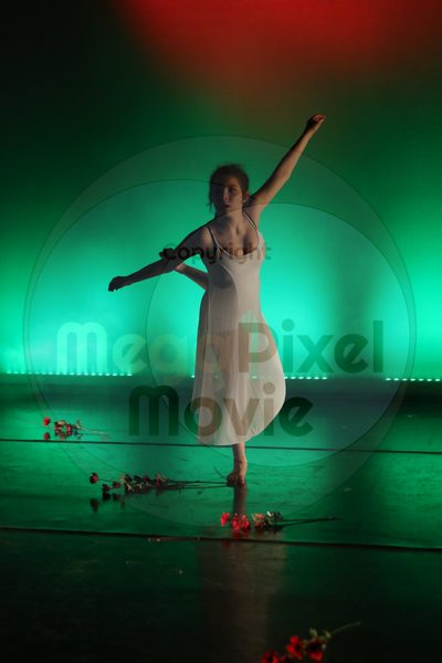 Dorothy Stringer Show - Image 9016