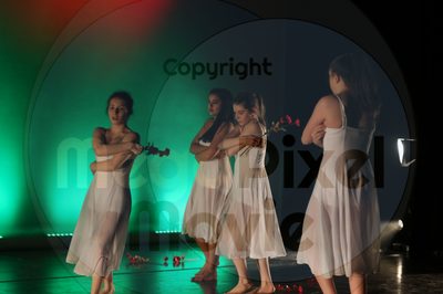 Dorothy Stringer Show - Image 9040