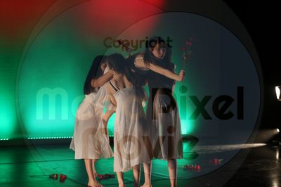 Dorothy Stringer Show - Image 9044