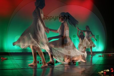 Dorothy Stringer Show - Image 9072