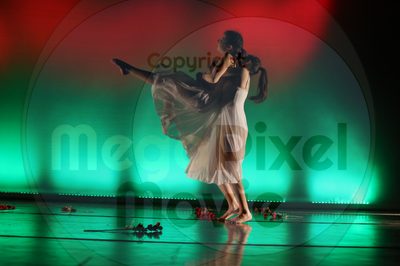 Dorothy Stringer Show - Image 9123