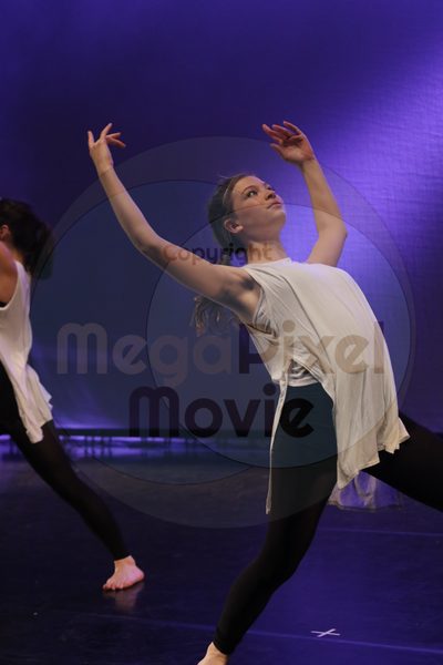 Dorothy Stringer Show - Image 0482