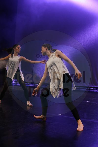 Dorothy Stringer Show - Image 0484