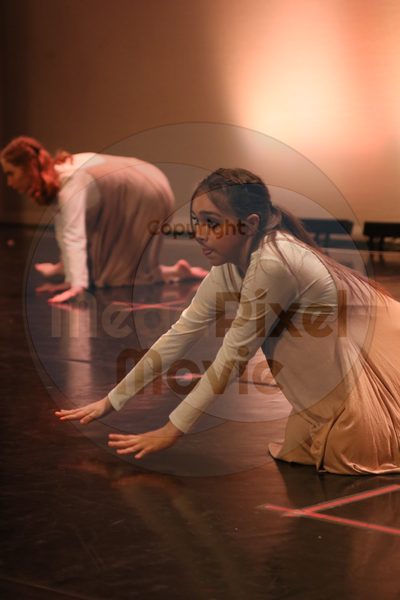 Dorothy Stringer Show - Image 9157
