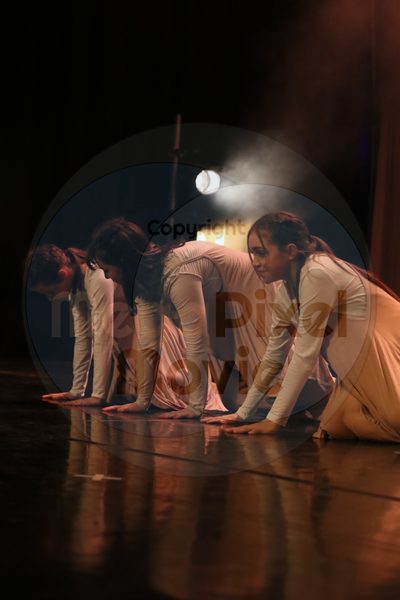 Dorothy Stringer Show - Image 9170