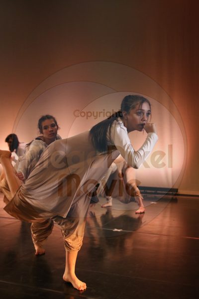 Dorothy Stringer Show - Image 9248