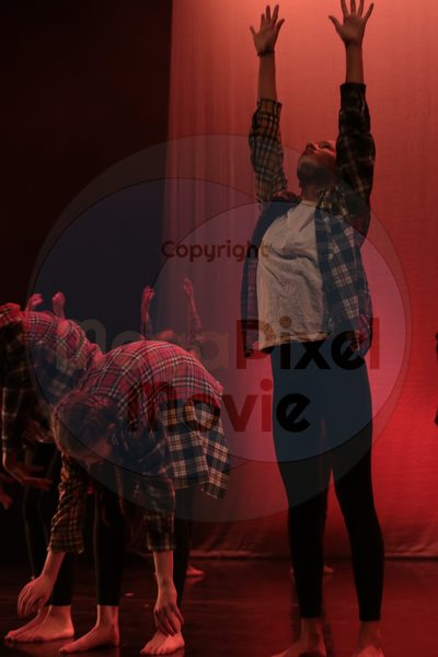 Dorothy Stringer Show - Image 8217