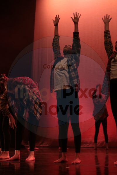 Dorothy Stringer Show - Image 8218