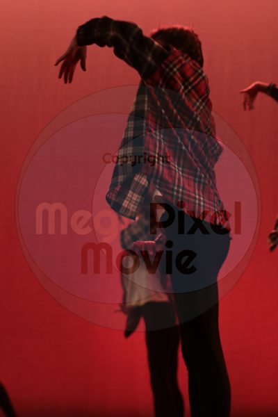 Dorothy Stringer Show - Image 8246